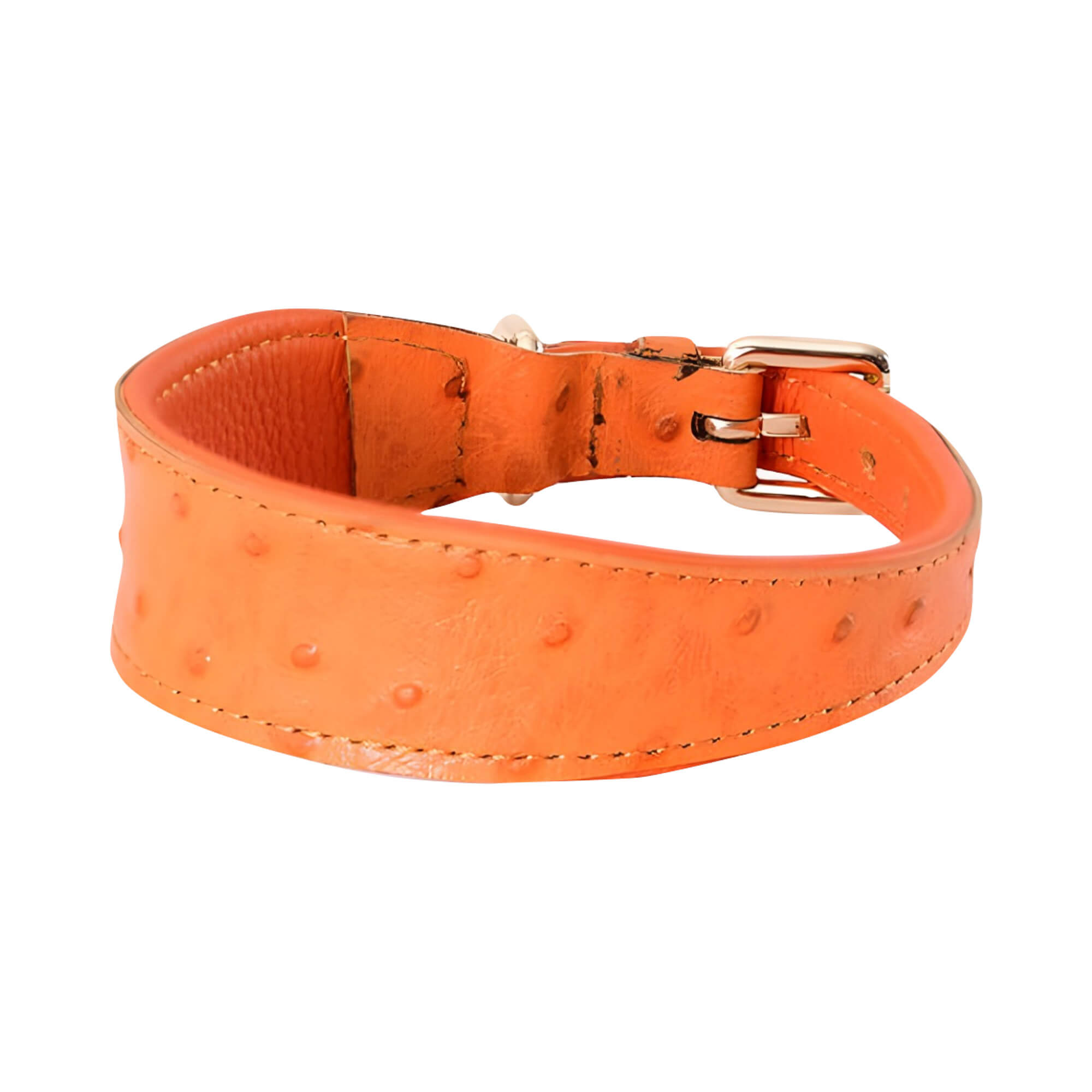 Extra Wide Dog Collar - Stylish and Durable Leather Dog Collar with Adjustable Needlepoint Buckle